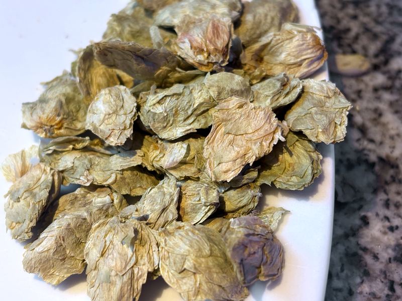 Close-up of dried hop cones on a white plate