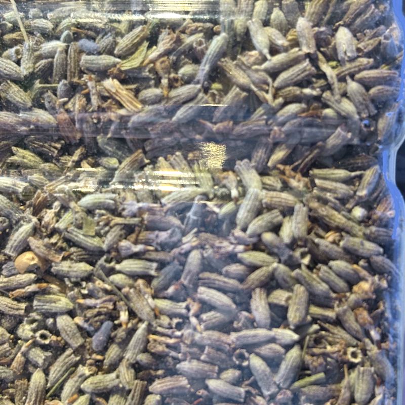 Close-up of dried lavender buds