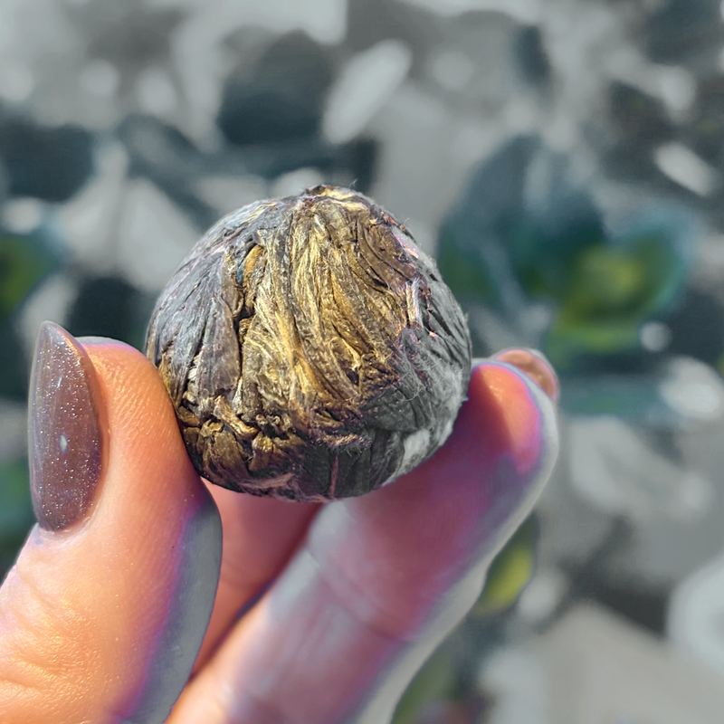 Fingertips holding a single hand-rolled round Chinese tea ball